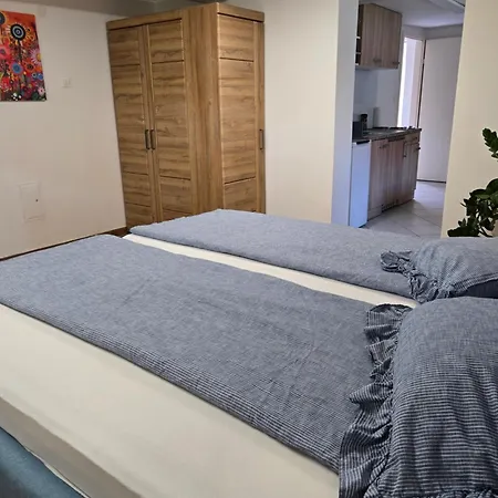Apartment Hisa Dolgi